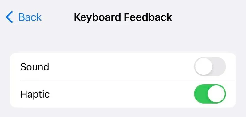 iPhone-14-Pro-Settings-Haptic-Keyboard