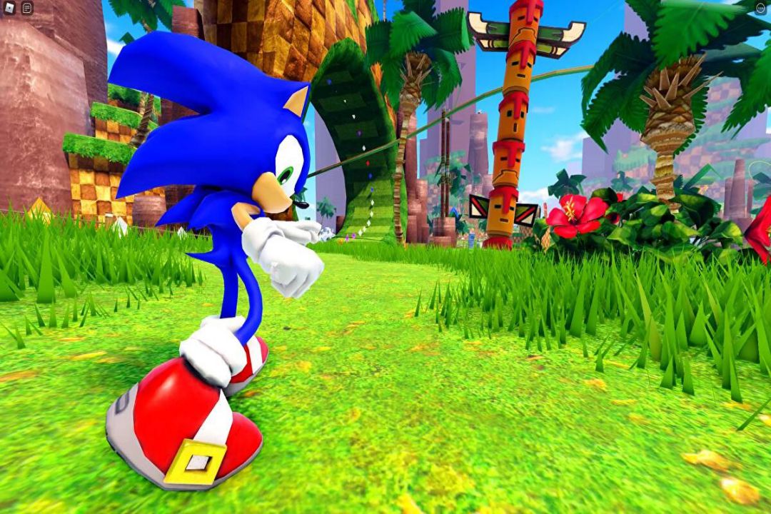 Sonic Game_